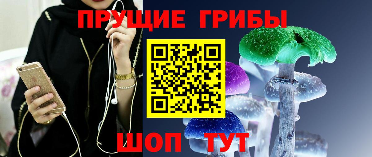 Псилоцибиновые грибы Cubensis Ишимбай
